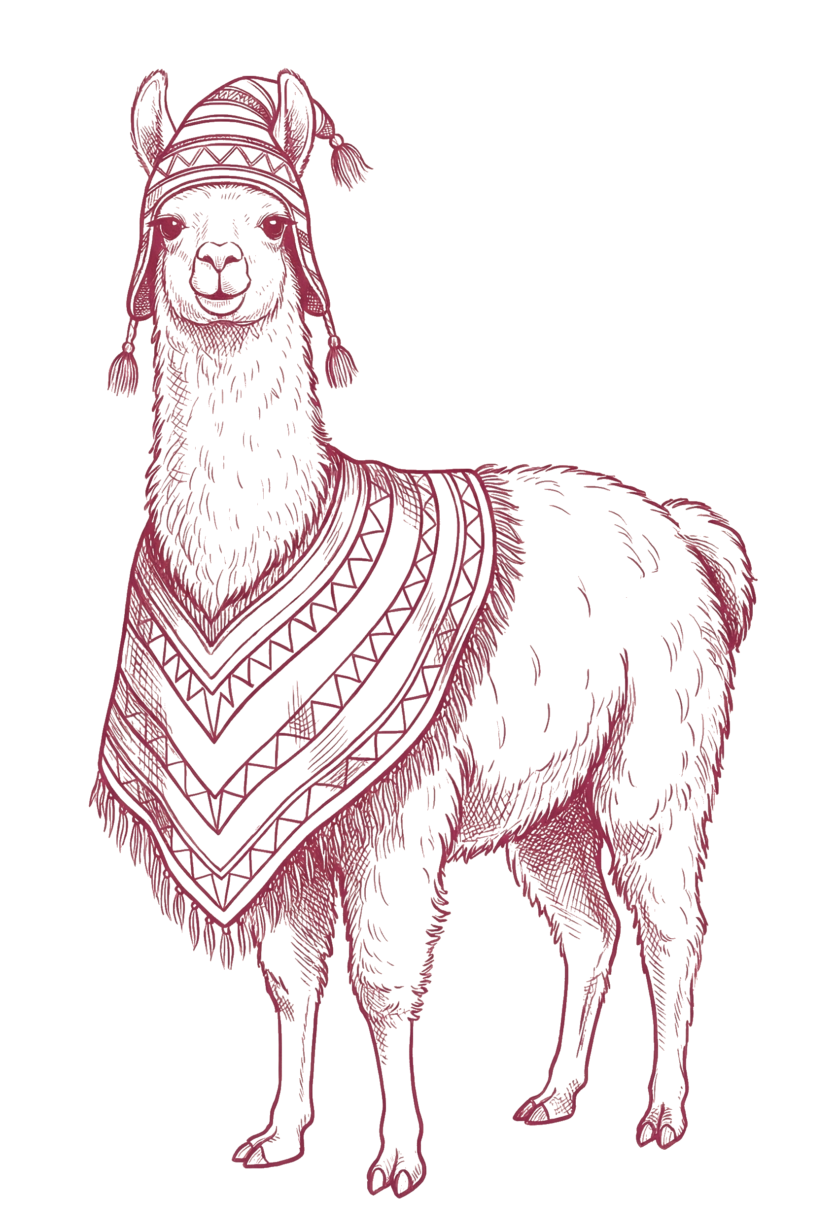 Alpaca